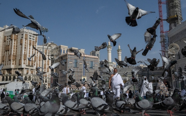 A flock of the pigeons of the Grand Mosque in Makkah al-Mukarramah. (Saudipedia)