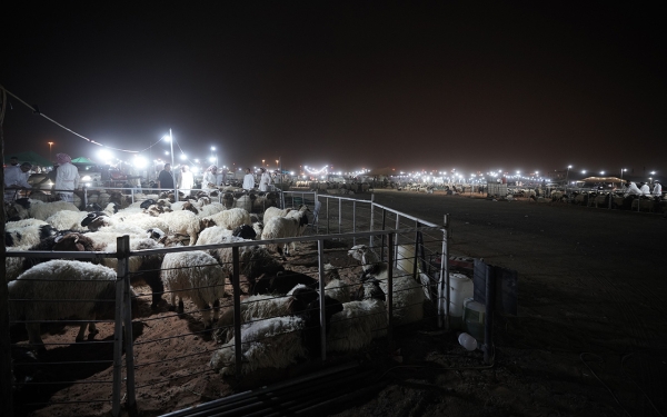 One of the sheep markets in the Kingdom. (Saudipedia)