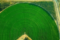 Pivot irrigation is one of the sprinkler irrigation systems in the Kingdom. (SPA)