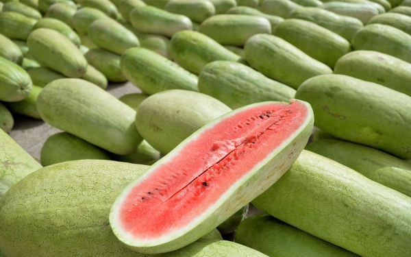 Watermelon is one of the agricultural crops in the Kingdom. (SPA)