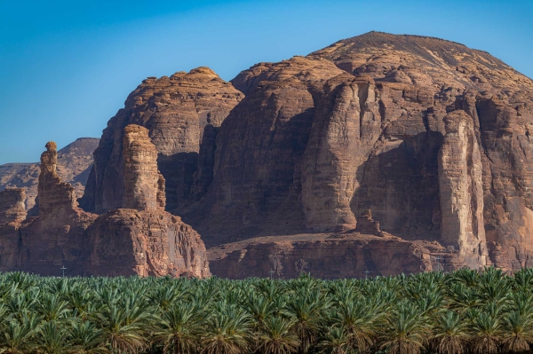 One of the palm farms in al-Ula in al-Madinah al-Munawwarah Province. (SPA)