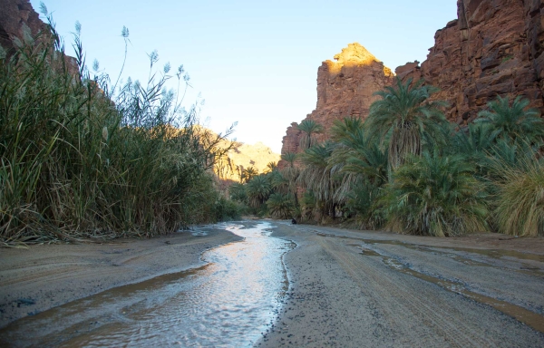 Wadi ad-Disah in Tabuk Province. (Saudipedia)