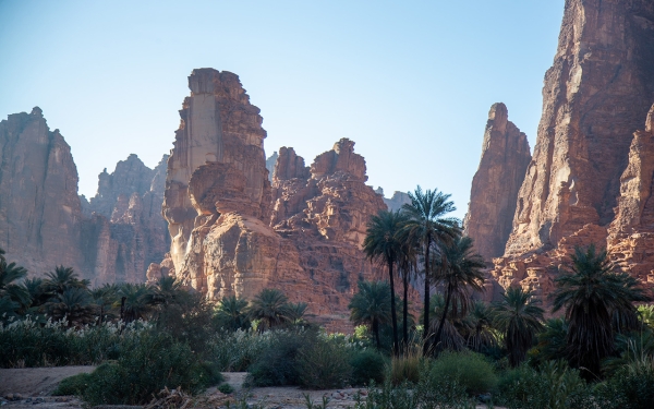 Wadi ad-Disah, southwest of Tabuk Province. (Saudipedia)