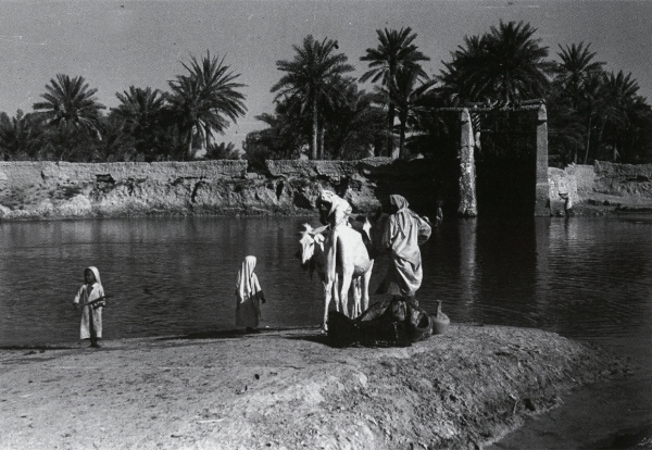 One of the water springs in al-Ahsa Oasis 1946, Wilfred Thesiger. King Abdulaziz Foundation for Research and Archives (Darah)