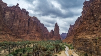 Palm trees in Wadi ad-Disah, Tabuk Province. (SPA)