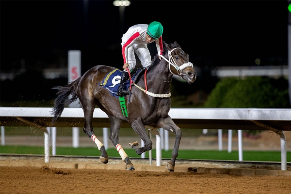 A rider competing in the 2023 Saudi Cup Horse Race. (SPA)