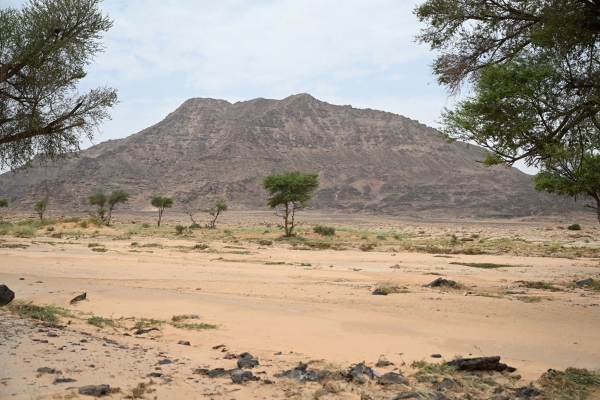 Jabal Jildiyyah, south of Baq&#039;a, contains a number of rock art forms. (Saudipedia)