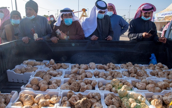 Some of the activities from the desert truffle festival in Qassim Province. (SPA)