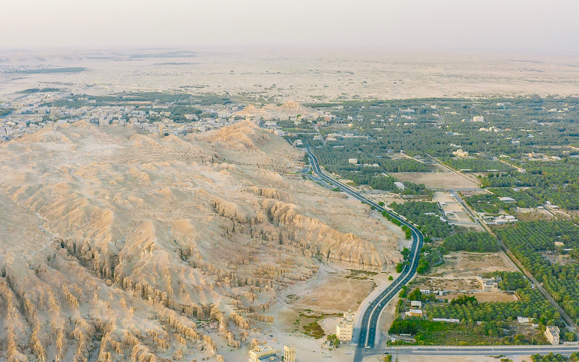 Aerial view of al-Ahsa Oasis. (Saudipedia)