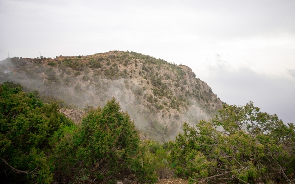 Al-Soudah Mountain reaching the clouds in Aseer Province. (Saudipedia)