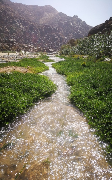 Wadi Yalamlam is one of the waterways in Maccah Province. (Saudi Geological Survey)