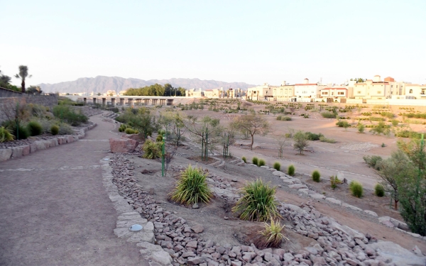 Wadi al-Aqiq is one of the waterways in Taif Governorate. (SPA)