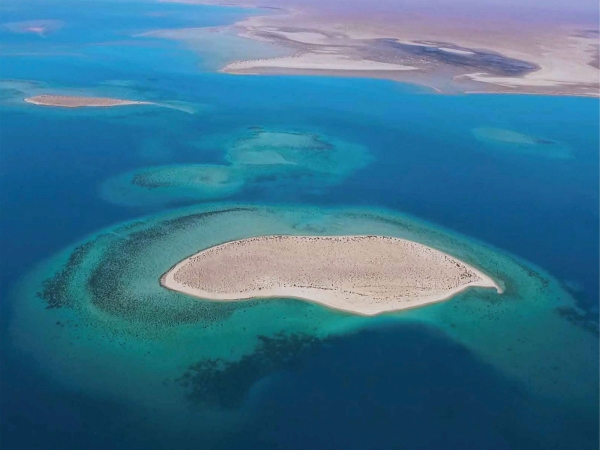 Aerial picture of Jabal Hassan Island, southwest of Ummlujj Governorate. (SPA)