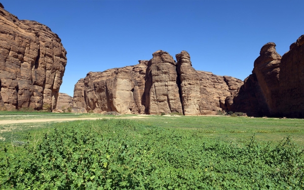 Diversity of topography in Sharaan Nature Reserve. (SPA)