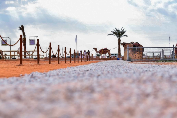 King Abdulaziz Camel Festival. (SPA)