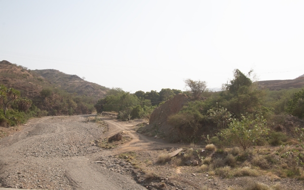 Wadi Sabya, one of the valleys in Sabya Governorate, whose waters flow from the southern Harub Mountains and the al-Amshaif Mountain. (Saudipedia)