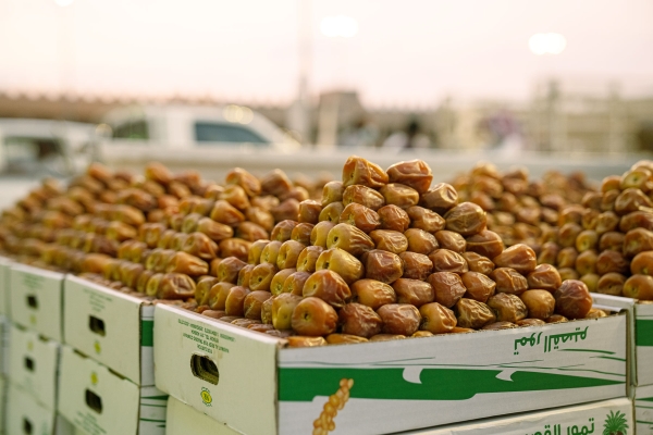 <i>Sukkari</i> dates at the Date Festival in Buraydah. (Saudipedia)