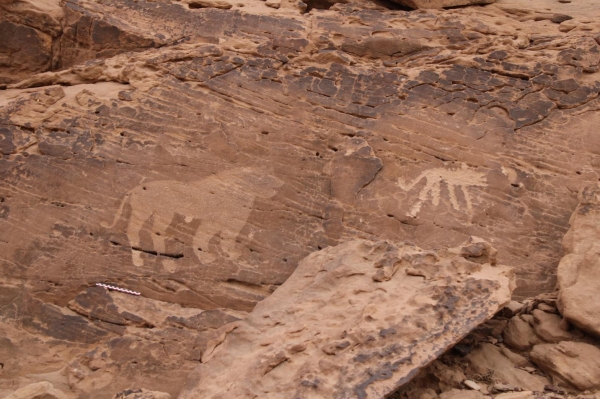 Rock inscriptions and drawings in Qassim Province. (SPA)