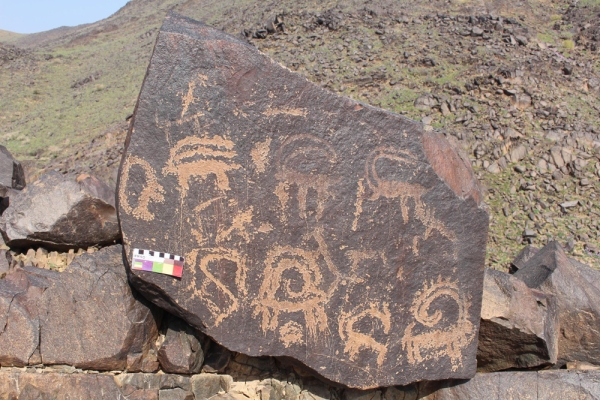 Engravings on a rock in Qassim Province. (SPA)