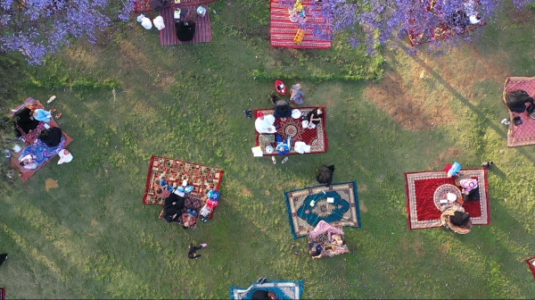 Families at a park in Aseer Province. (Saudipedia)