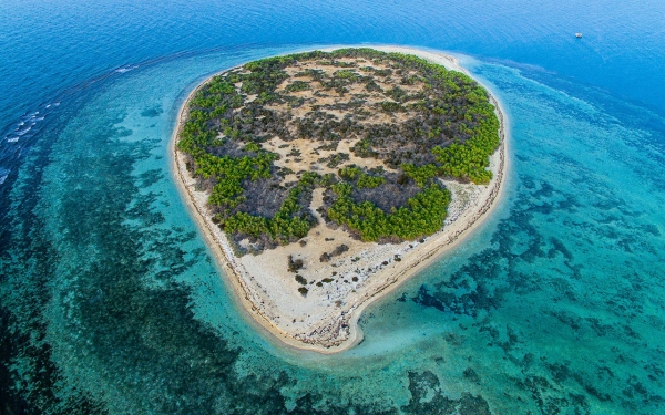 Umm al-Qamari Islands Reserve. (National Center for Wildlife)