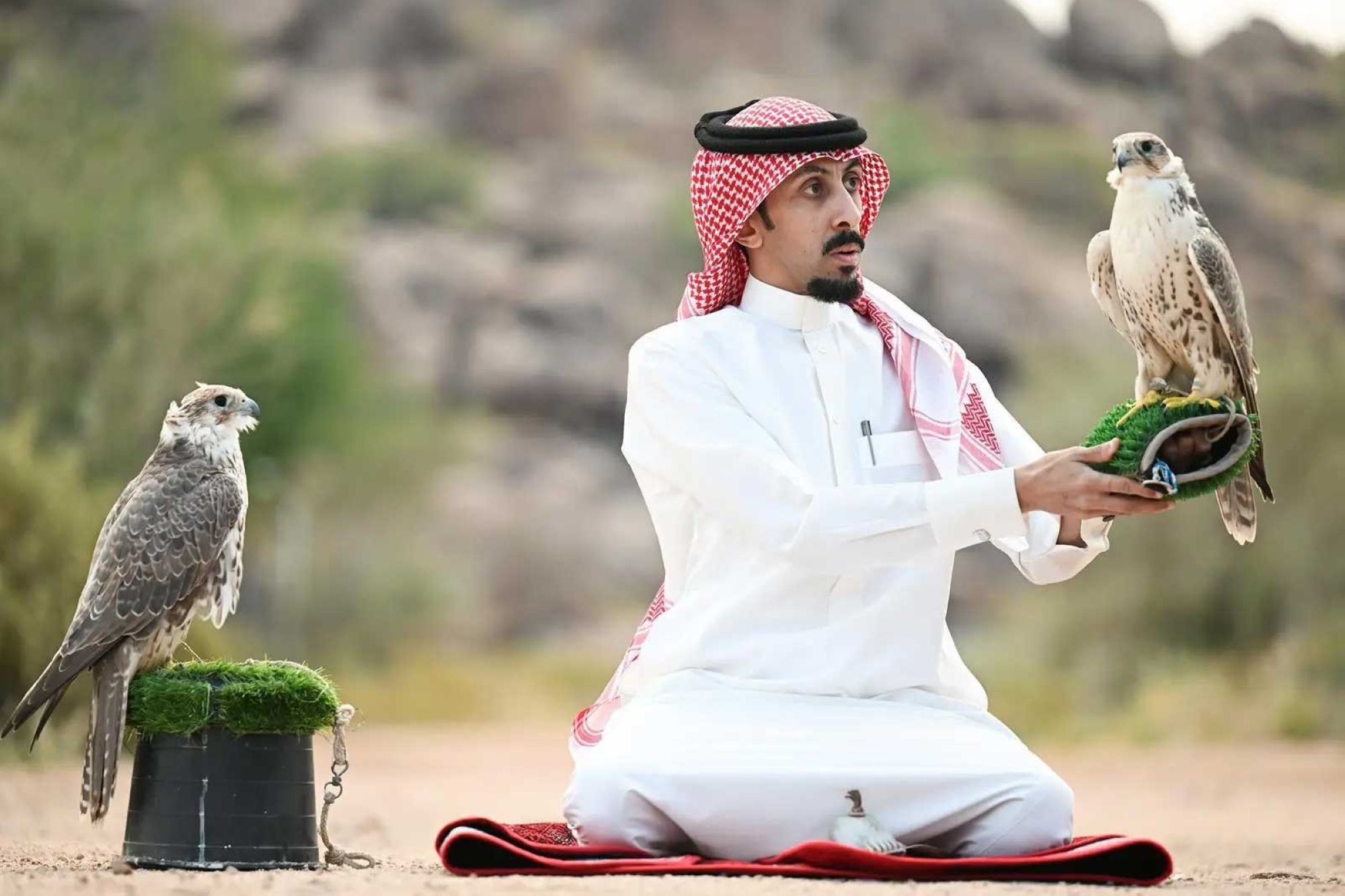 Falconry is one of the Saudi heritage elements registered with UNESCO. (SPA)