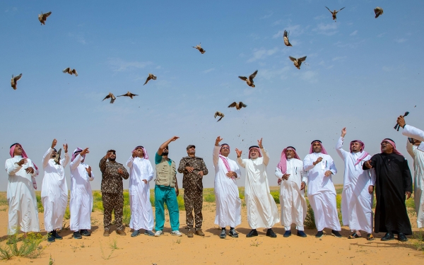 Releasing a flock of birds to reintroduce them into King Abdulaziz Royal Reserve. (SPA)