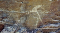 A rock carving at the Buqayq Archaeological Cemeteries. (SPA)