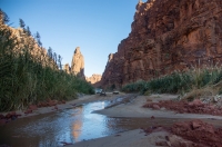 Wadi ad-Disah Spring in Tabuk Province, northwest of the Kingdom. (Saudipedia)