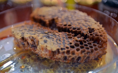 A honeycomb produced by an apiary in the Kingdom. (King Abdulaziz Foundation for Research and Archives (Darah))