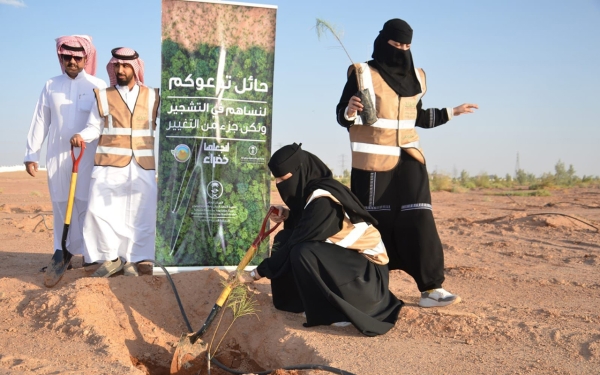 A project of the Initiative to Develop Preparedness for Drought in Hail City. (The Media Center of National Center for Vegetation Development and Desertification Combat)