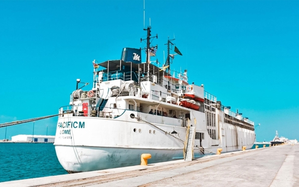 A cargo ship on a dock at Jazan Port. (SPA)