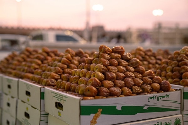 Sukkari dates are among the most famous dates in Qassim Province. (Saudipedia)