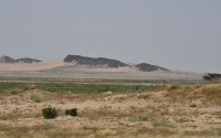 Harrat Tafil wa Shamah, which is located west of the Kingdom. (Saudipedia)