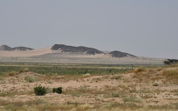 Harrat Tafil wa Shamah, which is located west of the Kingdom. (Saudipedia)