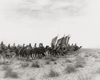 Carrying the banner was a prevailing tradition in the First and Second Saudi States and continued in the Kingdom of Saudi Arabia. (Darah)