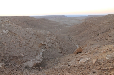 Aliyah Plateau in al-Yamamah Mountain within the Tuwaiq mountain range. (Saudipedia)