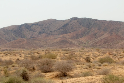 Harrat al-Qummah is one of the dormant volcanic fields in the Kingdom. (Saudipedia)