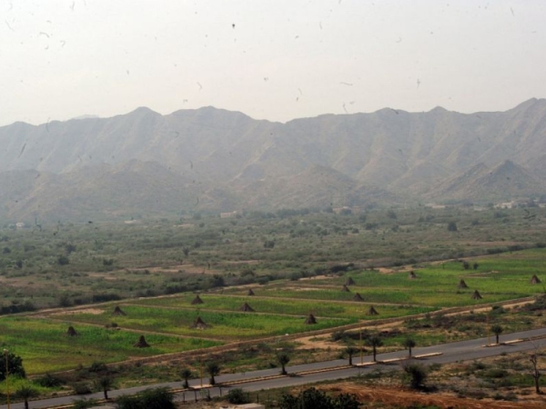 Farms in al-Hurrath Governorate. SPA. (King Abdulaziz Foundation for Research and Archives (Darah))