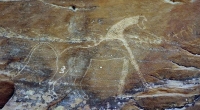 Animal drawings in the Abqaiq Archaeological Cemeteries. (SPA)