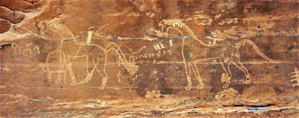 Inscriptions and engravings of horses in the Abqaiq Archaeological Cemeteries. (SPA)
