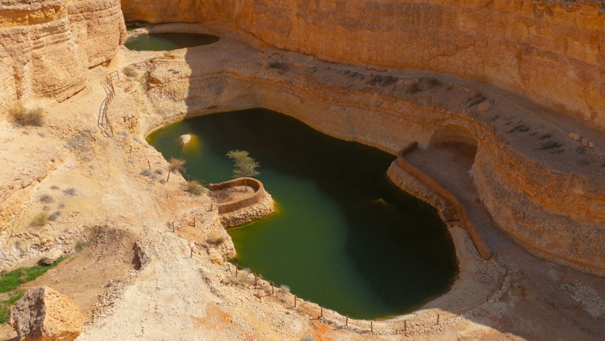 Water pooling in Qalta Umm Qulaida. (King Abdulaziz Royal Reserve)