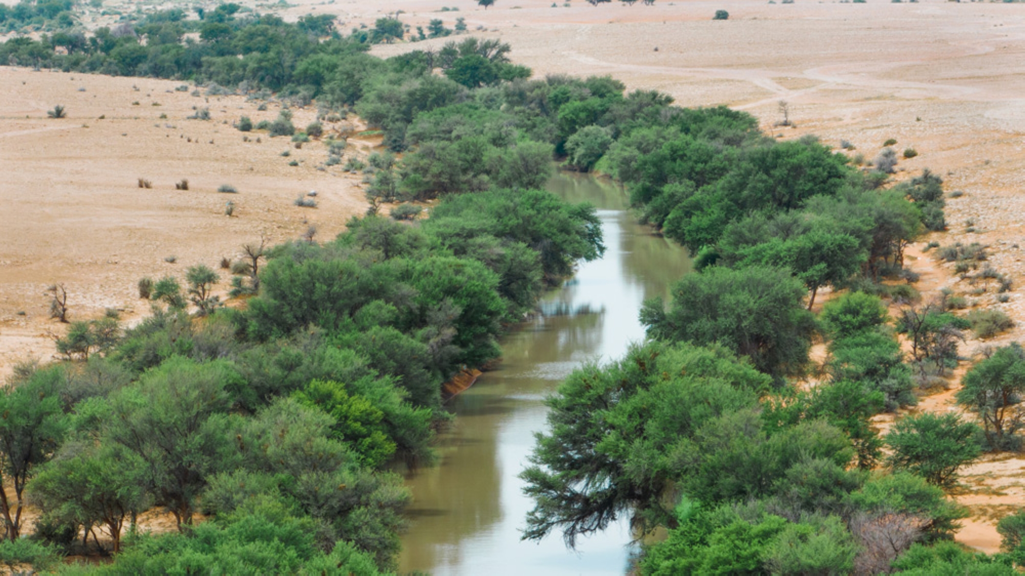 Al-Shawqi Valley, one of the valleys of al-Armah Mountain. (King Abdulaziz Royal Reserve)