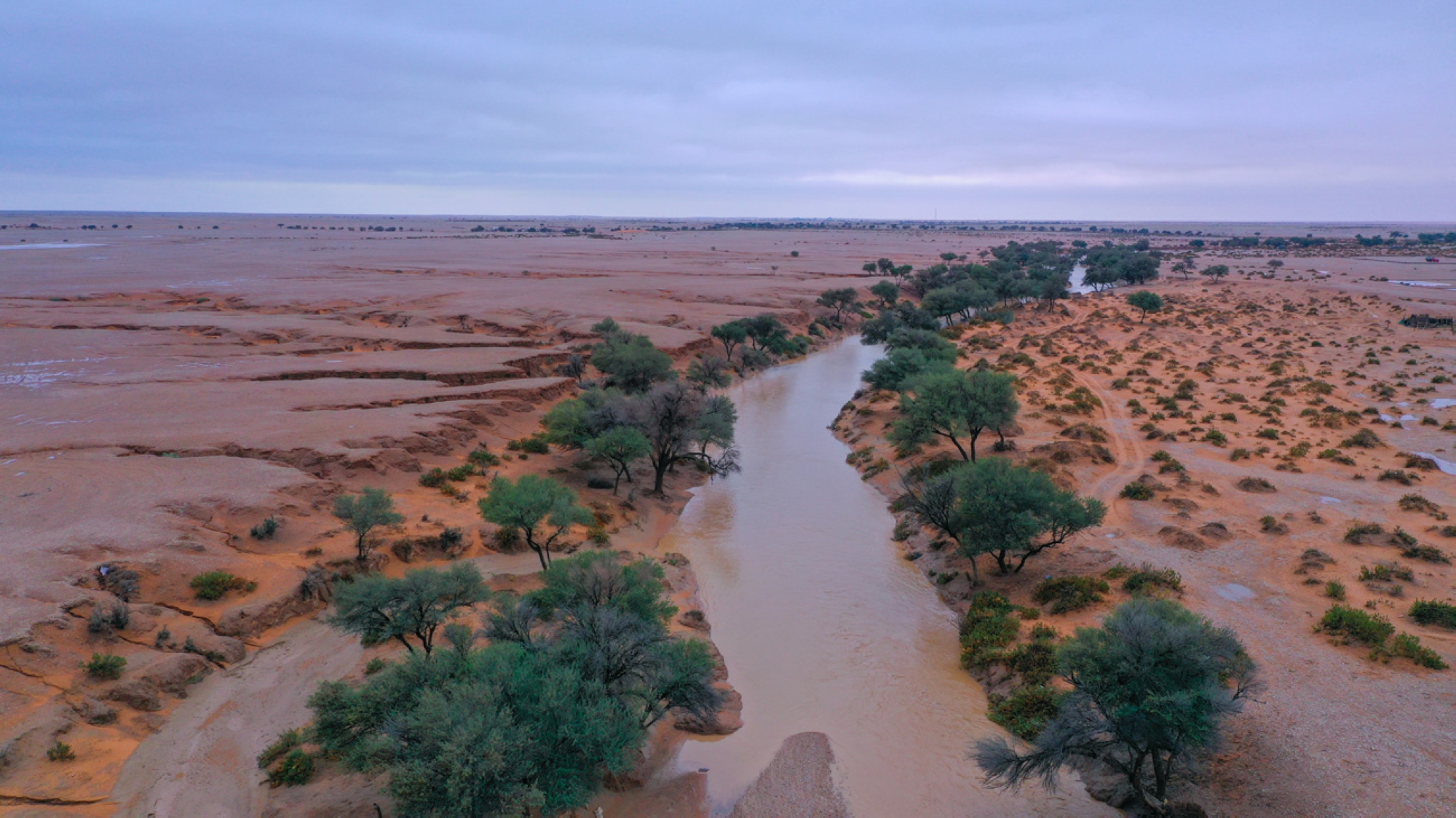 Shuaib at-Tayri originates from the upper reaches of al-Armah Mountain and flows into Rawdat al-Tanhat. (King Abdulaziz Royal Reserve)