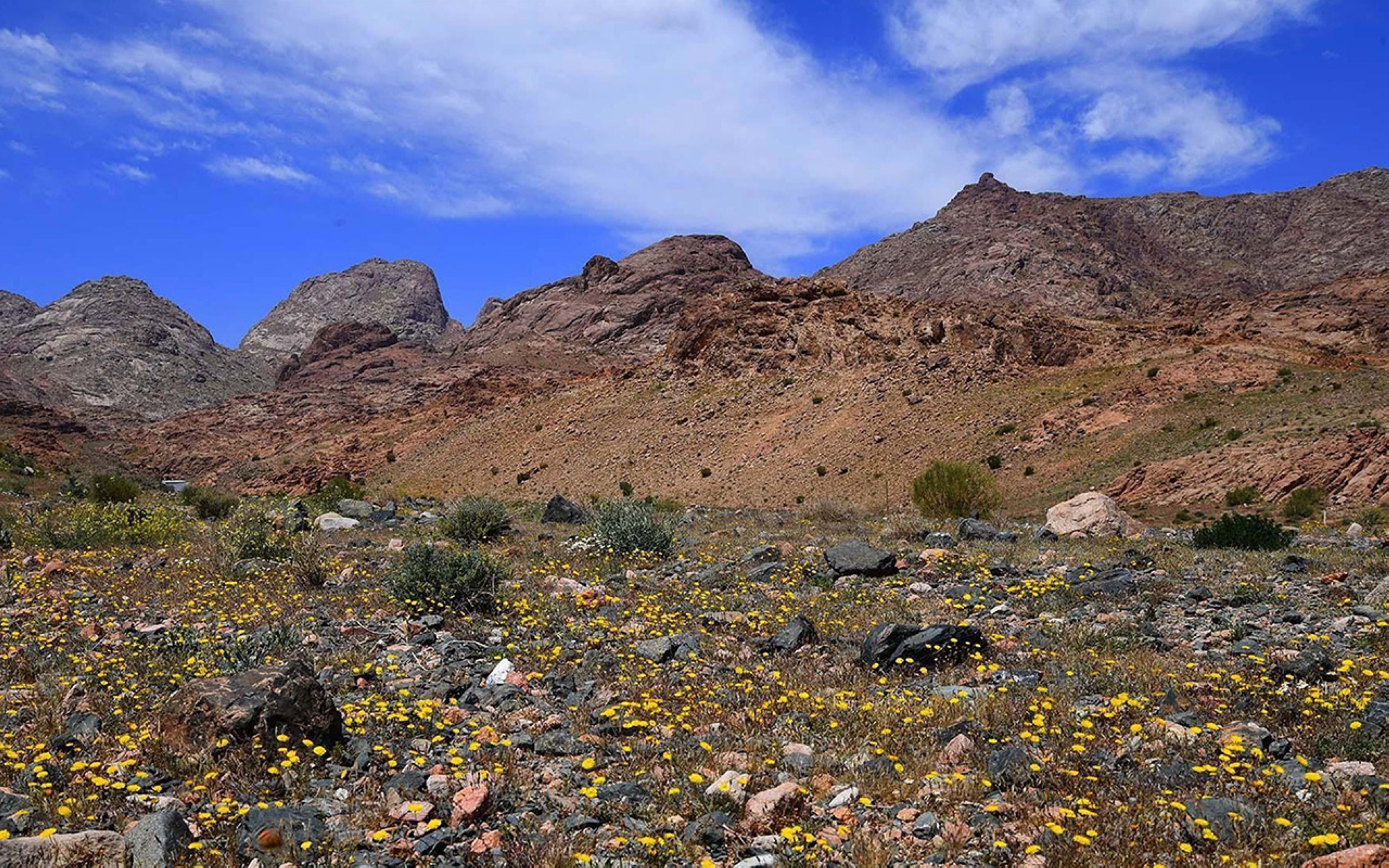 Jibal al-Lawz, dans la province de Tabuk. (SPA)