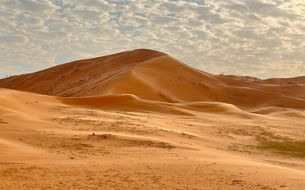 Désert d'An-Nufud Al-Kabir, la deuxième plus grande accumulation de sable du Royaume. (Saudipedia)