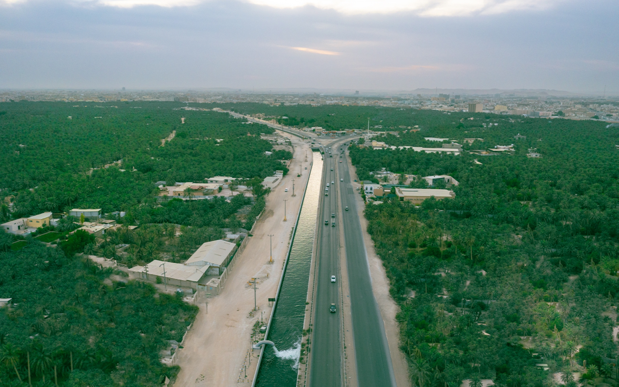 Image aérienne de l’oasis d’Al-Hassa. (Saudipedia)