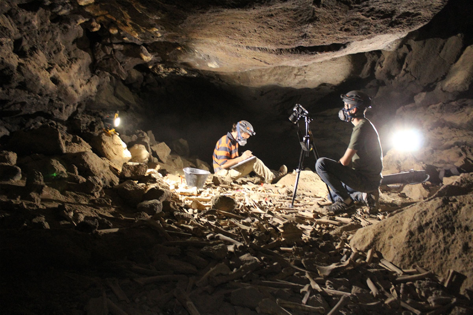 Travaux d’excavation dans la grotte d’Umm Jirsan à Harrat Khaybar, au nord de Médine. (SPA)