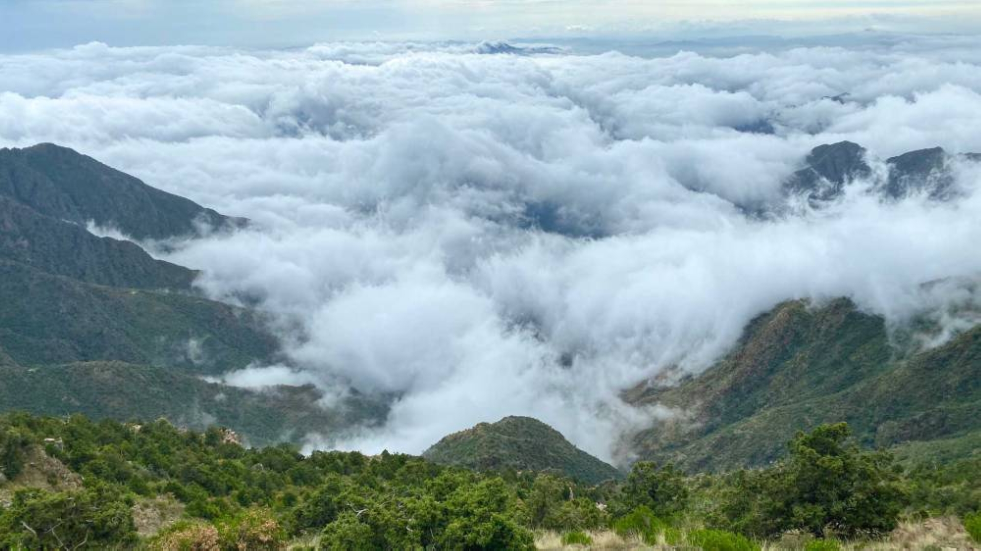 Photographie des hauts plateaux des montagnes de la province d&#039;Asir. (SPA)