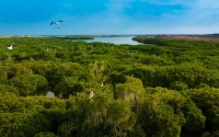 La beauté de la nature sur l’île de Farasan dans la province de Jizan.